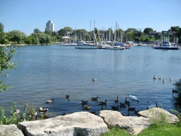 Appartamento Harbour House Hamilton Esterno foto